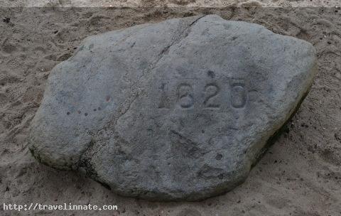 Plymouth Rock (10)