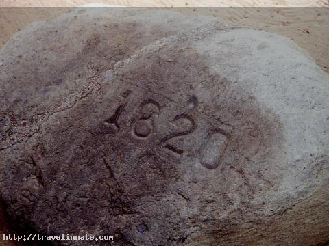 Plymouth Rock (7)
