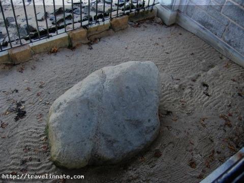 Plymouth Rock (5)