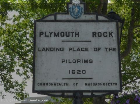Plymouth Rock (3)
