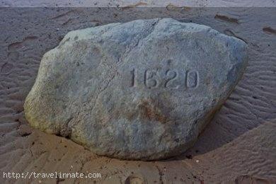Plymouth Rock (2)