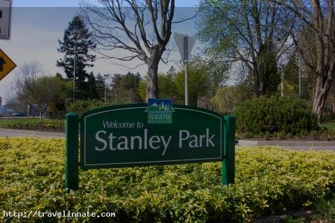 Stanley Park (7)