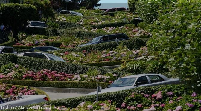 Lombard Street Located In San Francisco