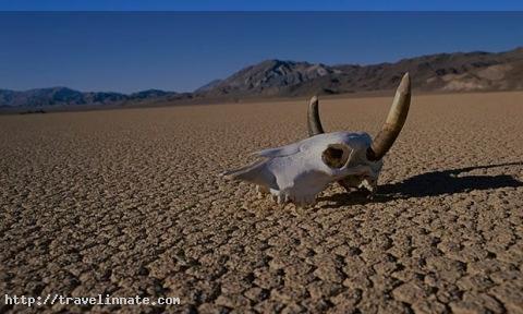 Death Valley (1)