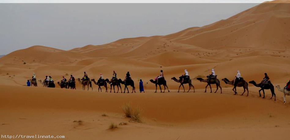 A visit to Sahara Desert, Facts, Pictures