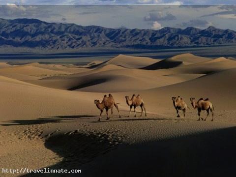 Gobi desert (2)