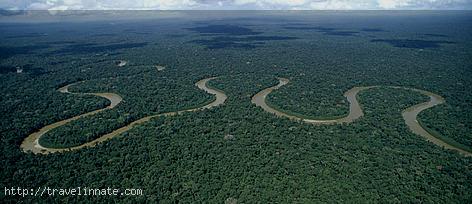 Amazon Rainforest (10)
