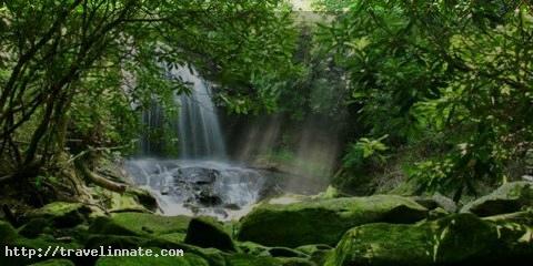 Amazon Rainforest waterfall