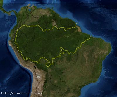 Amazon Rainforest (7)