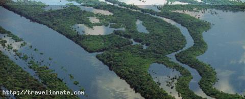 Amazon Rainforest Anavilhanas archipelago