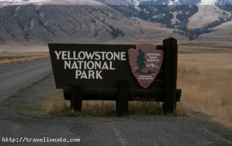 Yellowstone National Park (4)