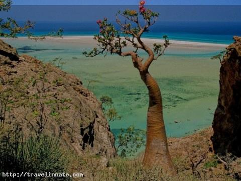 Socotra Island (1)